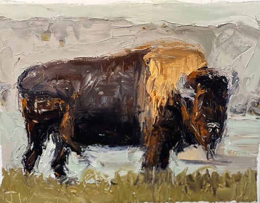 Bison Study No. 6