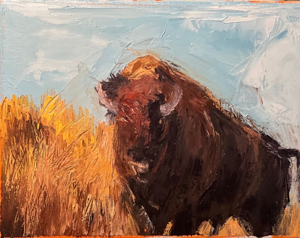 Bison Study No. 4