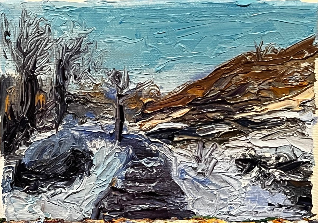 Winter Walk Study