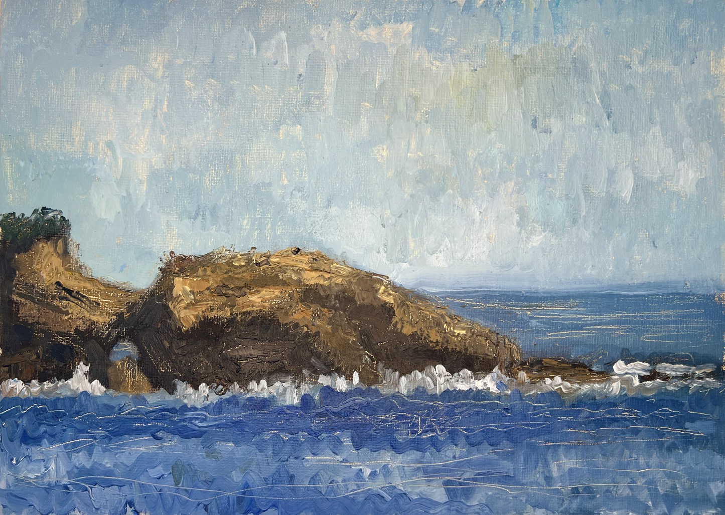 Laguna Bluff
